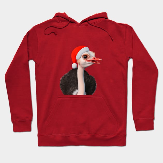 Funny Christmas Ostrich in Santa Hat Hoodie by taiche